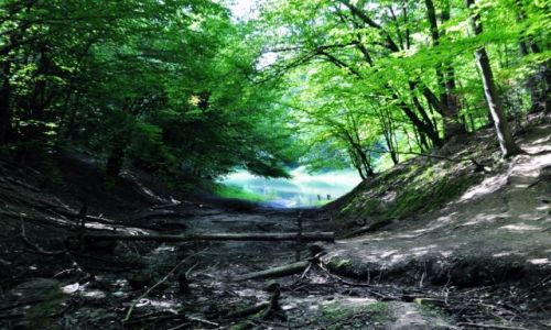 Zdjecie POLSKA / podkarpacki / Tarnobrzeg / w krainie marzeń