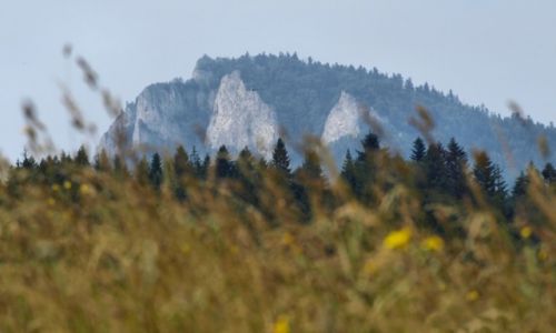 Zdjecie POLSKA / MAŁOPOLSKA / Szczawnica / Pienińskie podróże