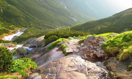 Zdjecie POLSKA / Tatry / DOLINA ROZTOKI / DOLINA ROZTOKI