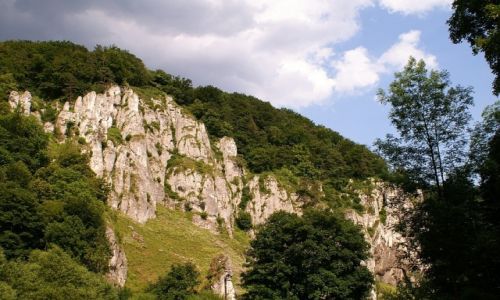 Zdjcie POLSKA / Jura Krakowsko - Czstochoeska / okolice Ojcowa / skaki