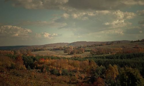 Zdjecie POLSKA / Jura Krakowsko - Czestochowska / Mirow / Jurajska Jesien