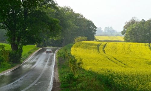 Zdjecie POLSKA / Warmia / Ktlewo / Fields of Gold