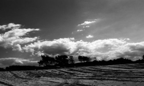 Zdjecie POLSKA / Pomorskie / Darwek / Wszystkie odcienie szaroci