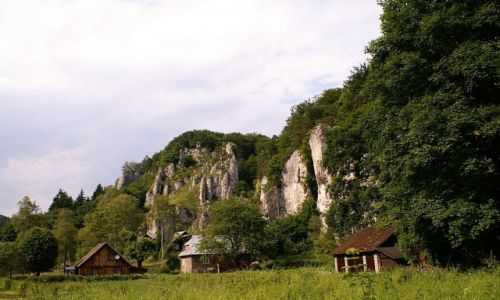 Zdjcie POLSKA / Jura Krakowsko - Czstochowska / okolice Ojcowa / skaki