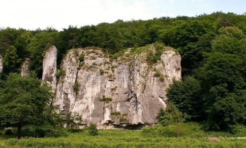 Zdjcie POLSKA / Jura Krakowsko - Czstochowska / okolice Ojcowa / skaki