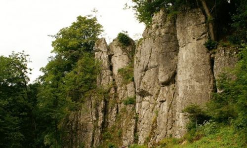 Zdjcie POLSKA / Jura Krakowsko - Czstochowska / okolice Ojcowa / skaki