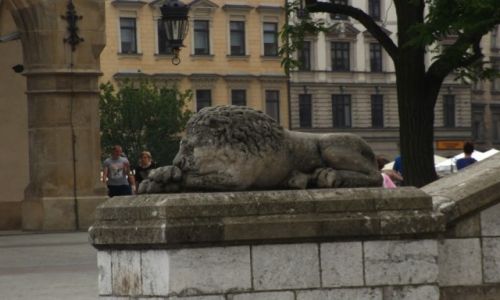 Zdjecie POLSKA / - / Kraków / śpiący lew