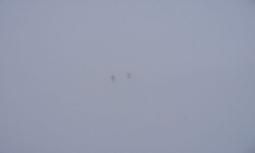 Zdjecie POLSKA / TATRY / GRZE / W POSZUKIWANIU KONTURW