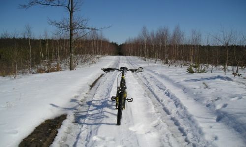 Zdjecie POLSKA / mazowieckie / Myrcha / którędy do Wiosny