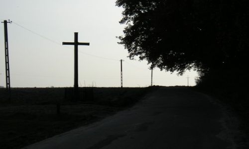 Zdjecie POLSKA / mazowieckie / Mościbrody / w sieci rybaka...