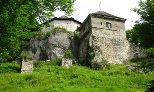 Zdjcie POLSKA / Jura Krakowsko - Czstochowska / Ojcw / zamek w Ojcowie