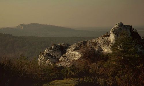 Zdjecie POLSKA / Jura Krakowsko Częstochowska / widok z Gory Zborow / ...
