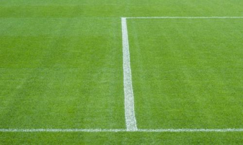 Zdjecie POLSKA / Wroc�aw / Stadion Miejski  / Pas