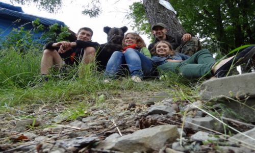 Zdjcie POLSKA / podkarpackie / Bieszczady - Solina / A podobno niedwiedzie boj si ludzi..