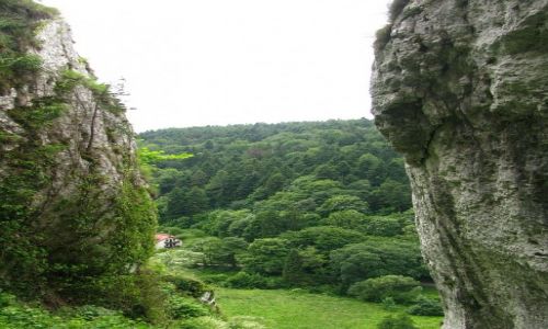 Zdjcie POLSKA / Jura Krakowsko - Czstochowska / okolice Ojcowa / widok na dolin Prdnika