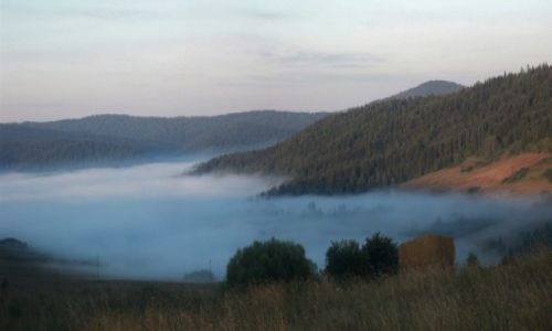 Zdjcie POLSKA / Beskid Niski / Szklary / Poranne mgy
