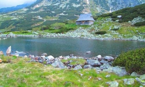 Zdjecie POLSKA / Tatry / DOLINA PICIU STAWW / WOLNA CHATA