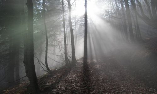 Zdjcie POLSKA / Beskid ywiecki / Wielka Racza / W drodze