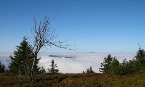 Zdjcie POLSKA / Beskid ywiecki / Wielka Racza / W morzu mgie
