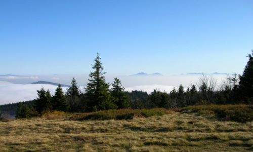Zdjcie POLSKA / Beskid ywiecki / Wielka Racza / W morzu mgie II