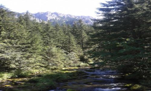 Zdjecie POLSKA / TATRY / ZAKOPANE / tatry
