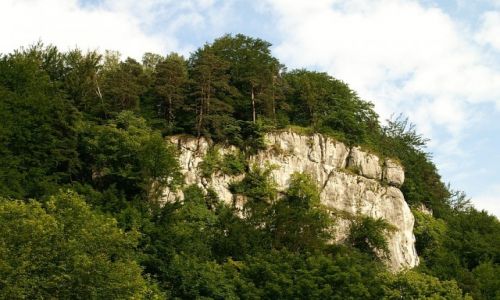 Zdjcie POLSKA / Jura Krakowsko - Czstochowska / okolice Ojcowa / skaki