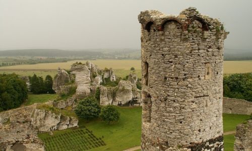 Zdjcie POLSKA / Jura Krakowsko - Czstochowska / wie Podzamcze / zamek w Ogrodziecu
