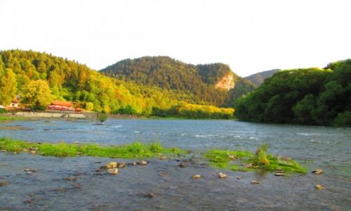 Zdjecie POLSKA / PIENINY / SZCZAWNICA / OKOLICE SZCZAWNICY