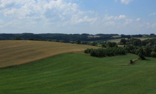 Zdjęcie POLSKA / Pomorze / Okolice Sierakowic / Kaszuby