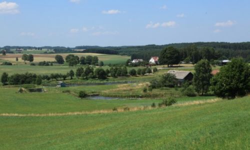 Zdjęcie POLSKA / Pomorze / Okolice Sierakowic / Kaszuby