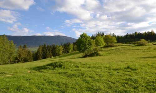 Zdjcie POLSKA / - / Zawoja - Podryzowana / Widok na Babi