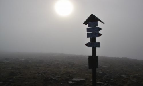 Zdjecie POLSKA / - / Beskid ywiecki - Babia Gra / Poranek na Diablaku