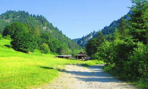 Zdjcie POLSKA / PIENINY / SZLAK NA 3K / BACWKA 