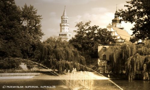 Zdjecie POLSKA / Opolszczyzna / Opole / Nad Stawkiem Barlickiego