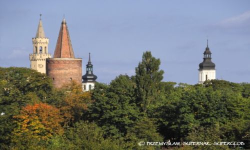 Zdjecie POLSKA / Opolszczyzna / Opole / Wiee Opola