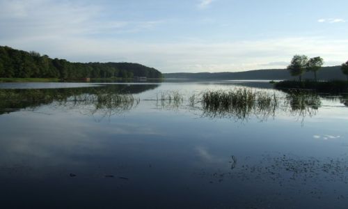 Zdjcie POLSKA / Mazury / Lidzbark Welski / Lidzbark Welski