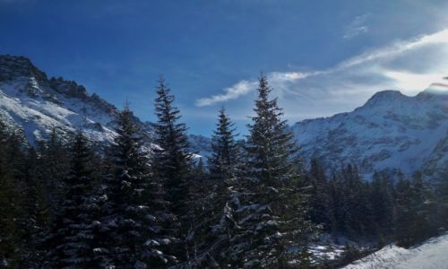 Zdjecie POLSKA / Maopolska / Morskie oko / W drodze na Morskie Oko
