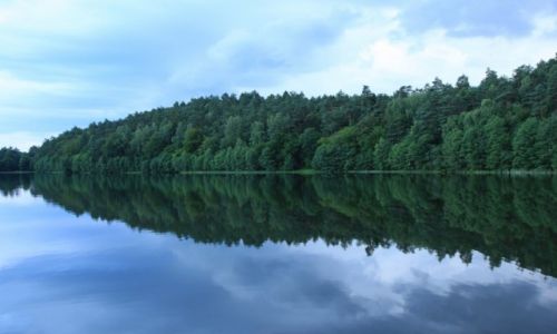 Zdjecie POLSKA / Pomorze / Sulczyno / Nad jeziorem Gucierz May