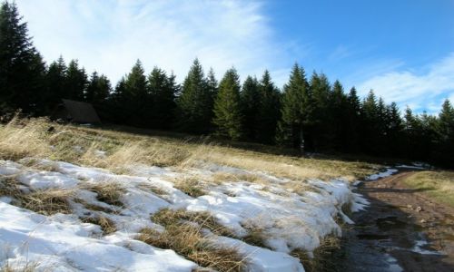 Zdjcie POLSKA / Beskid ywiecki / Hala Cebulowa pod Pilskiem / Pierwszy nieg