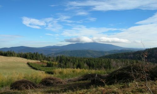 Zdjęcie POLSKA / Beskid Żywiecki / Hala Uszczawne pod Pilskiem / Babia jak zwykle zachmurzona