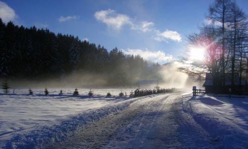 Zdjecie POLSKA / Tatry / Dolina Chochoowska / Dolina Chochoowska