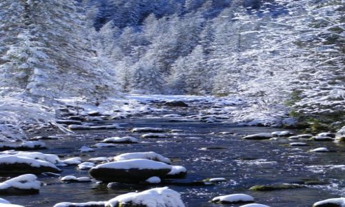 Zdjecie POLSKA / Tatry / Dolina Kocieliska / Dolina Kocieliska