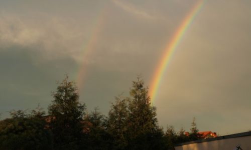 Zdjęcie POLSKA / - / LESZNO / TĘCZA