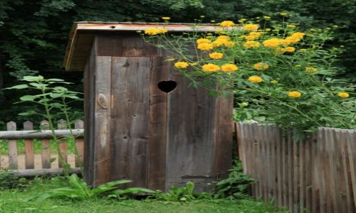 Zdjcie POLSKA / Bieszczady / Muzeum Budownictwa Ludowego w Sanoku / Ukwiecona