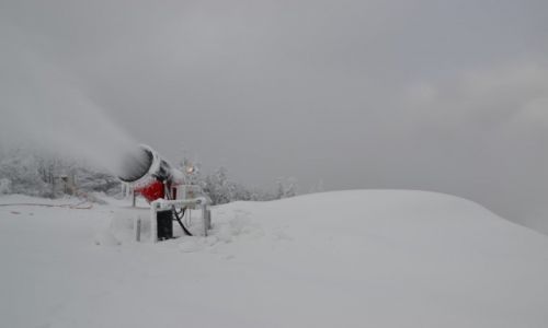 Zdjcie POLSKA / Beskid lski / Skrzyczne - trasa zjazdowa / Na trasie FIS