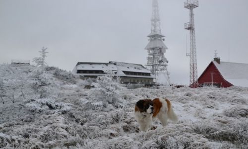 Zdjcie POLSKA / Beskid lski / Skrzyczne / Poznajmy si :-)