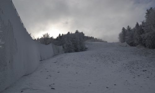 Zdjcie POLSKA / Beskid lski / Skrzyczne - trasa zjazdowa / Trasa FIS II