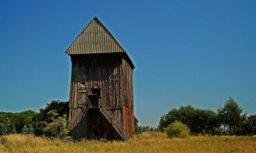 Zdjcie POLSKA / Woj.wielkopolskie / Wilczyn / Kolak