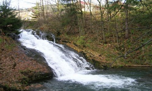 Zdjecie POLSKA / Beskid ywiecki / Sopotnia Wielka / Wodospad w Sopotni Wielkiej
