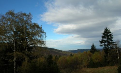 Zdjcie POLSKA / Beskid ywiecki / Sopotnia Wielka - szlak na Pilsko / Przysiek